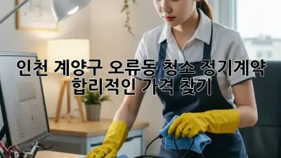인천 계양구 오류동 청소 정기계약, 합리적인 가격 찾기